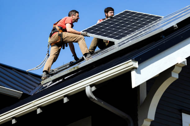 Best Roof Moss and Algae Removal  in Valley Forge, TN